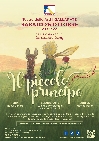 IL PICCOLO PRINCIPE