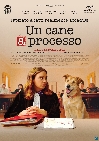 Un cane a processo