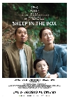 Sheep in the Box